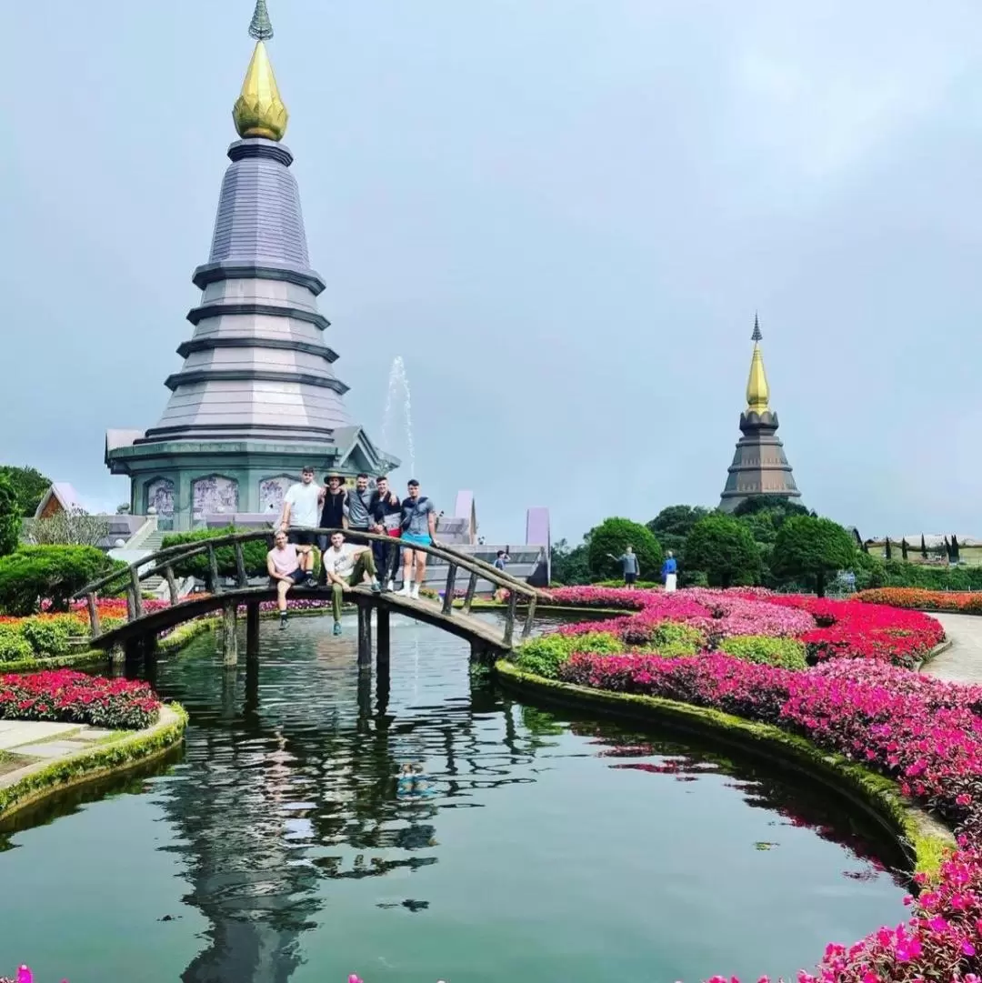 Doi Inthanon elephant sanctuary 