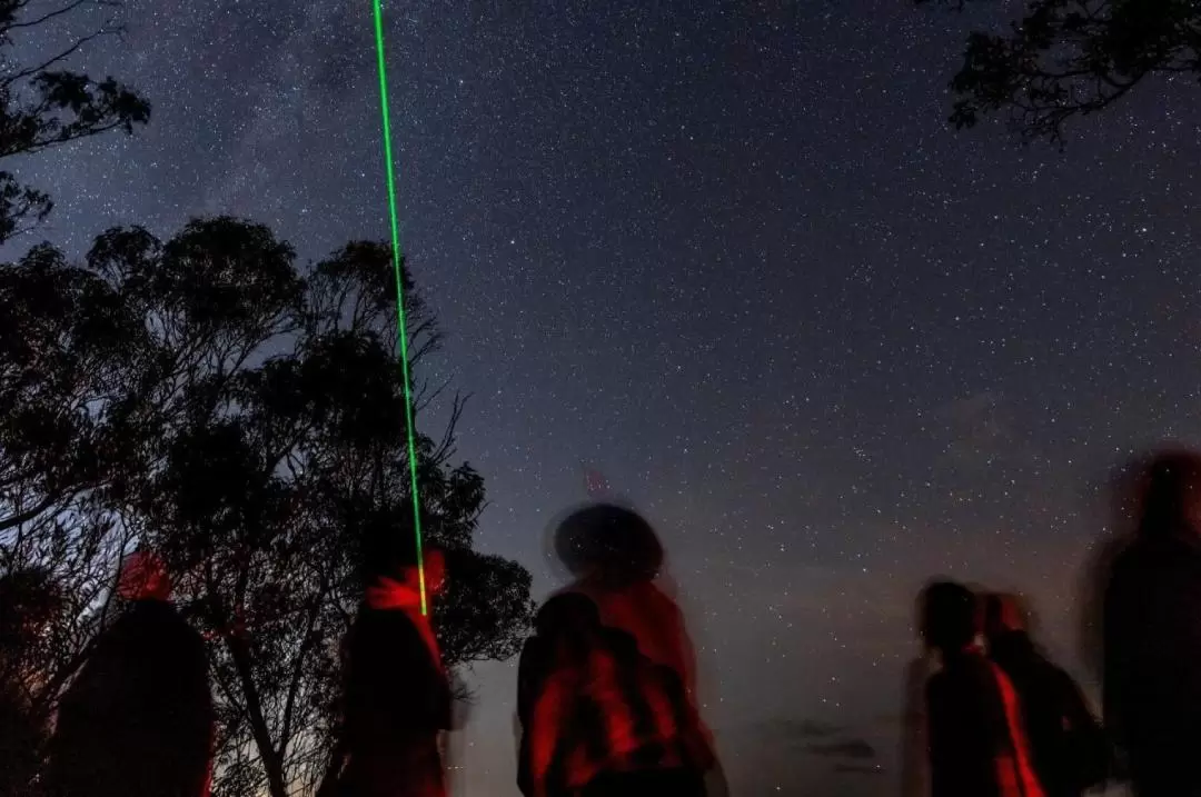 ジャービスベイ 星空観察体験