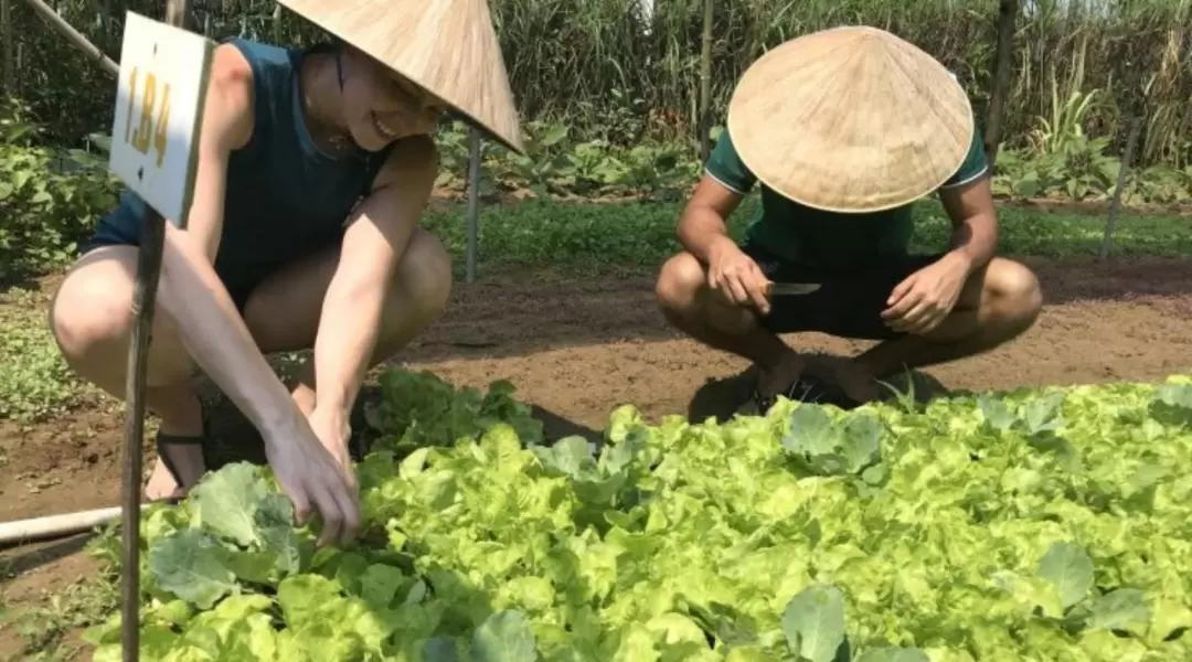 Biking and Cooking Experience in Hoi An