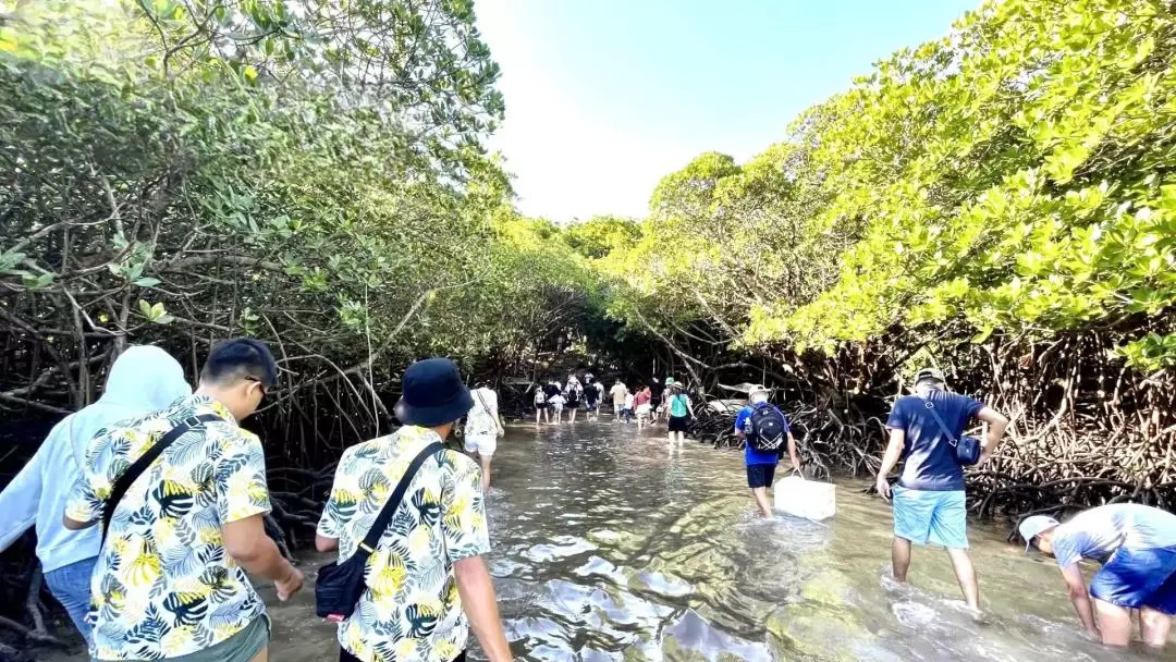 Tai & Bay Canh Island Hopping Speedboat Tour 