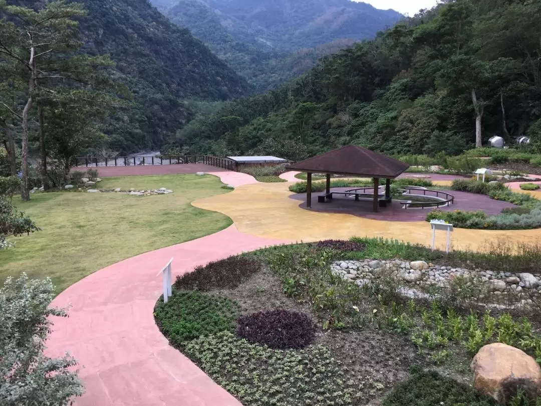 Jhihben Forest Recreation Area Ticket in Taitung
