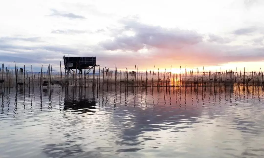 Thuy Bieu Village and Tam Giang Lagoon Private Day Tour 