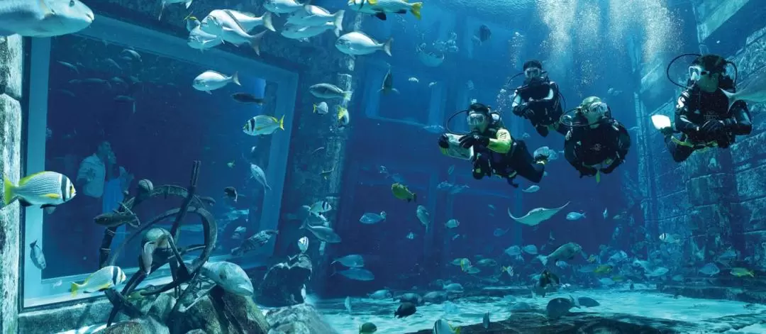 Atlantis Scuba Diving Experience at The Lost Chambers Aquarium Dubai 