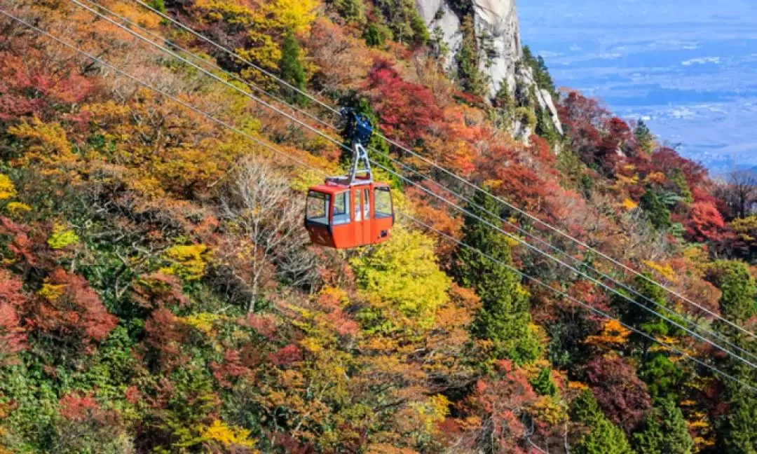 Nabana no Sato & Gozaishodake Ropeway Day Tour from Osaka