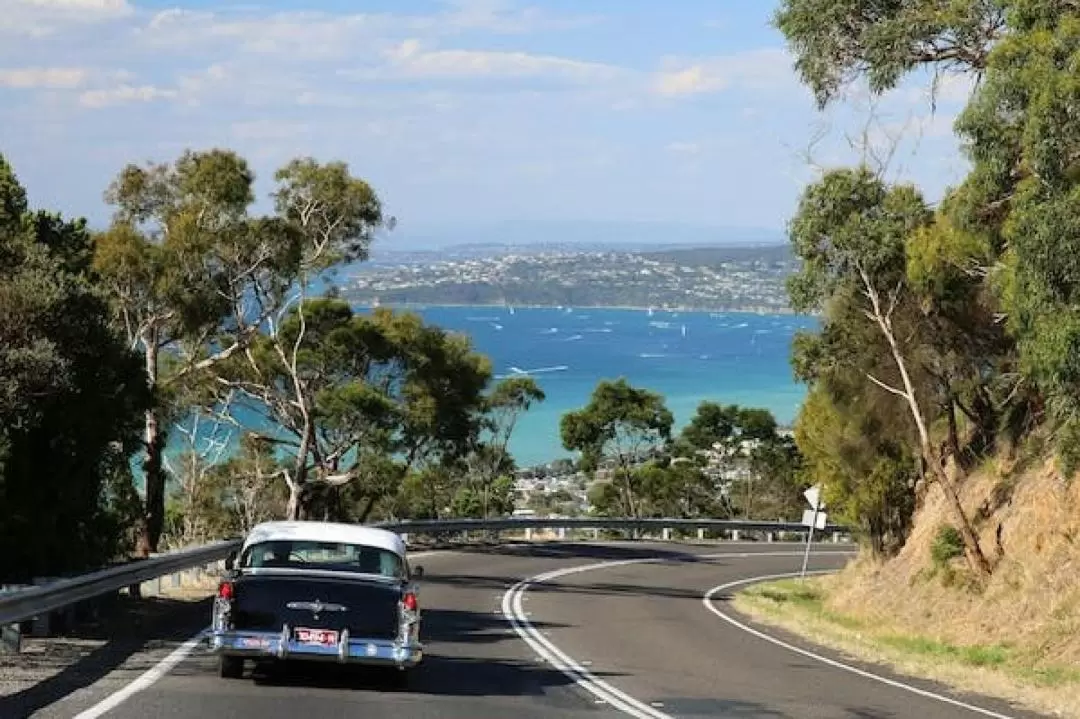 Mornington Peninsula Coastal Delights 8-Hour Tour from Melbourne