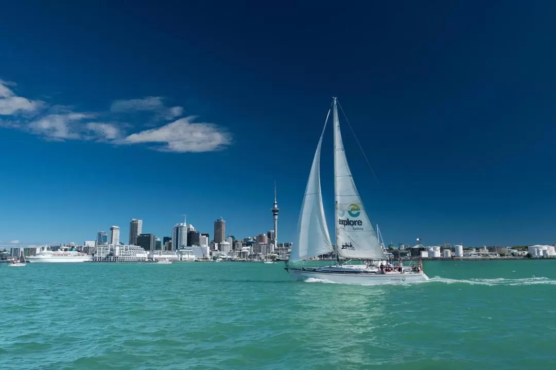 Auckland Harbour Sailing Cruise