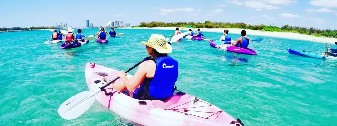 Dolphin Kayaking & Snorkeling Guided Tour in Gold Coast