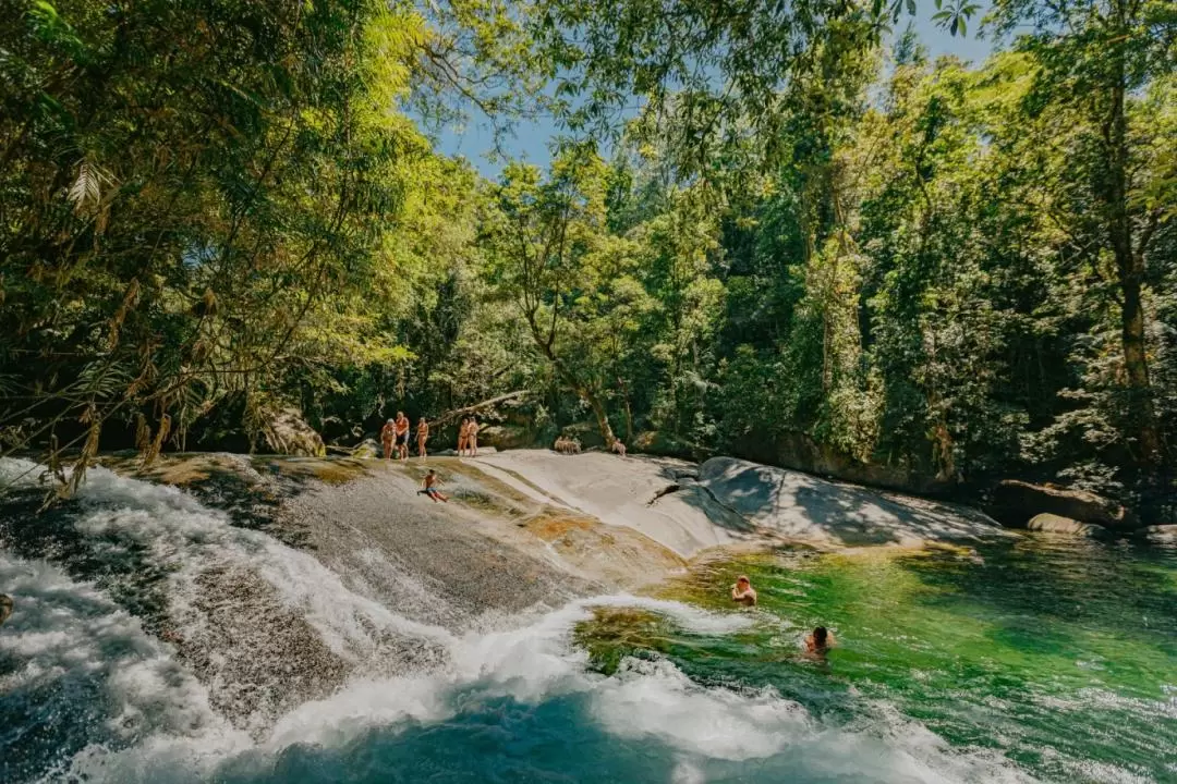 Atherton Tablelands Waterfall & Rainforest Day Tour from Cairns