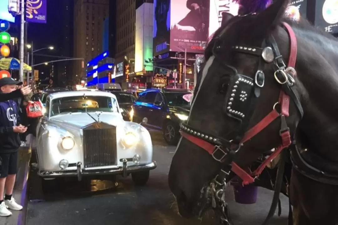 Central Park, Rockefeller Center, and Times Square Carriage Ride