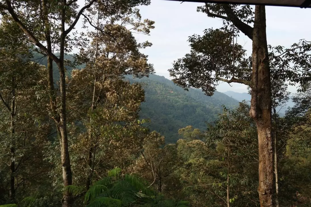 檳城登山步道＆農場美食品嚐之旅