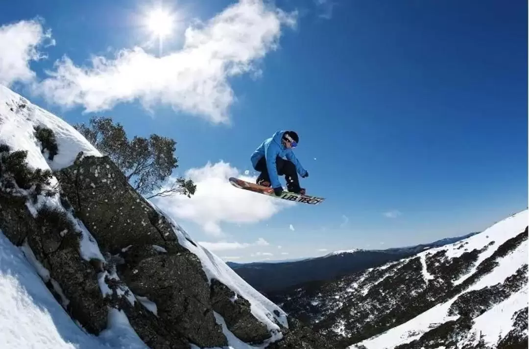 Mount Buller Snow One Day Tour