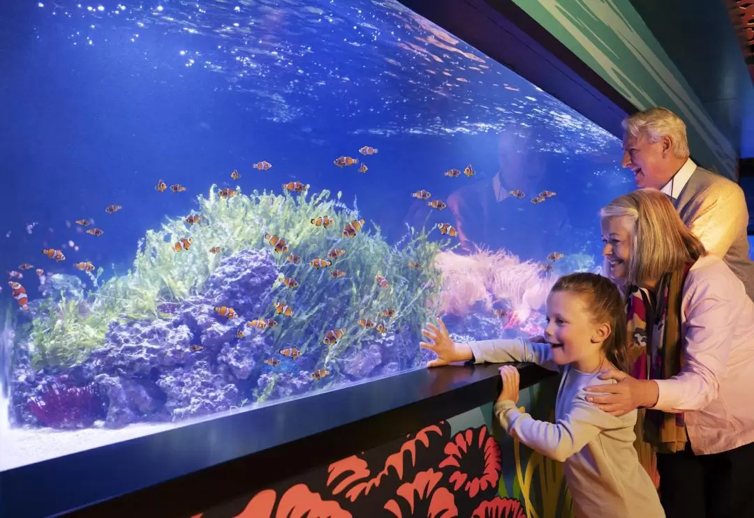 倫敦海洋生物水族館門票