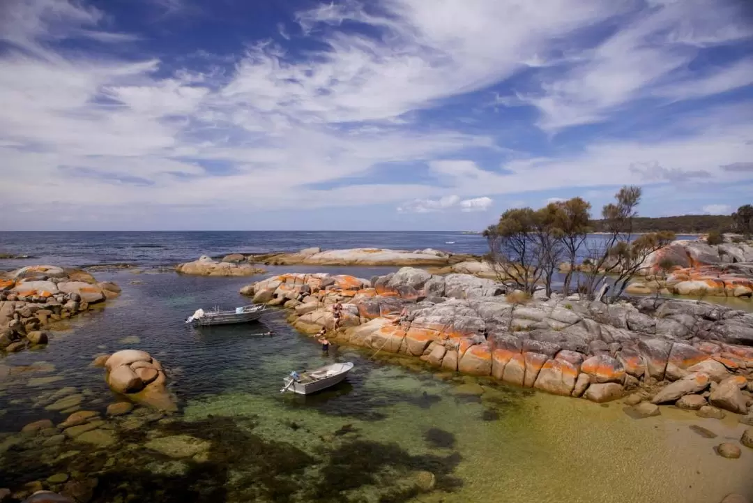 Bay of Fires Day Tour from Launceston