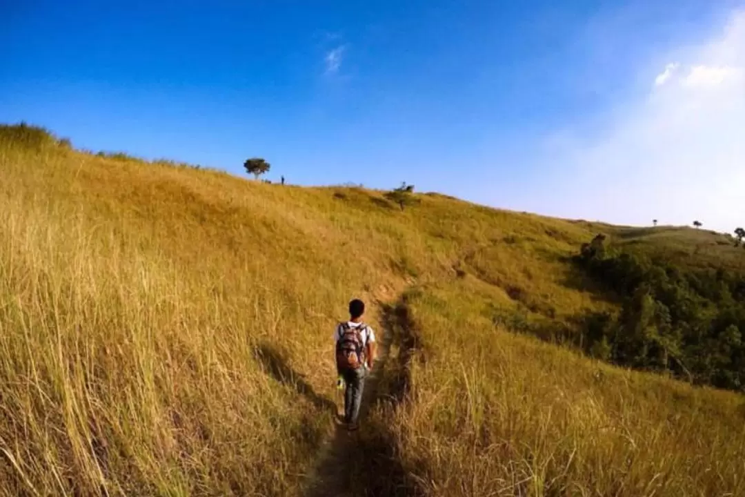 Mount Batolusong Join In Day Hike from Manila