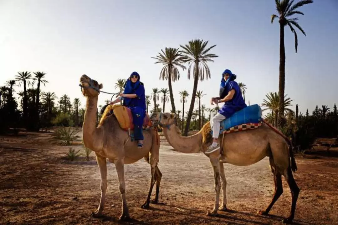 Camel Ride During Sunset at Palmeraie in Marrakech