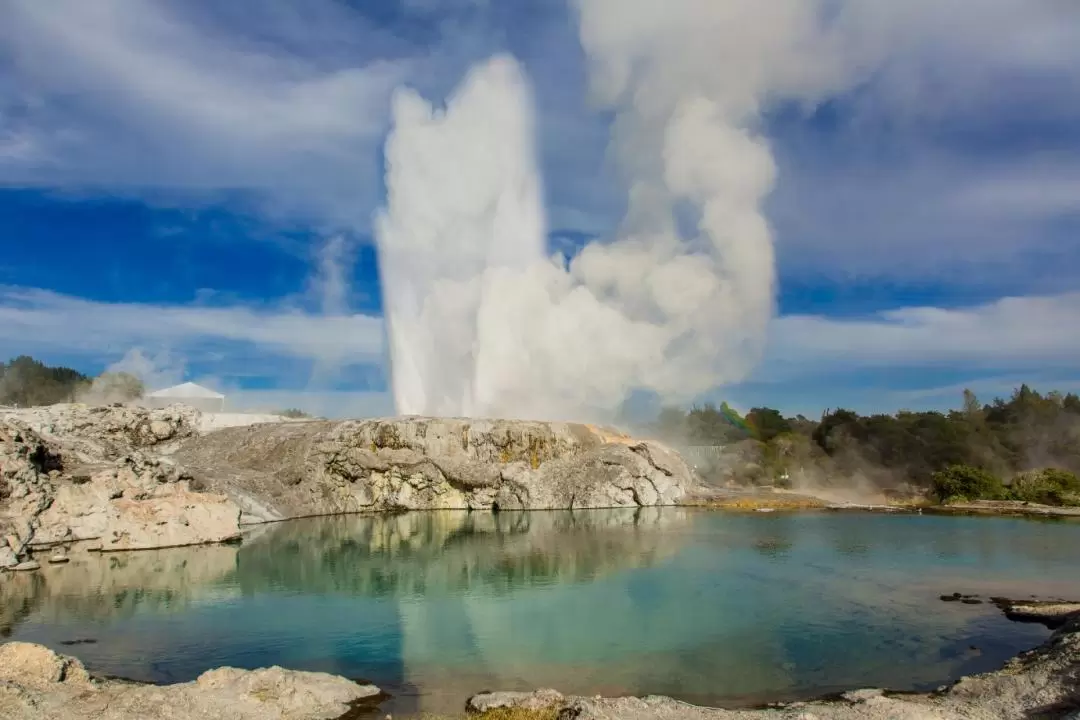 Te Puia Geothermal Valley Day Tour from Auckland