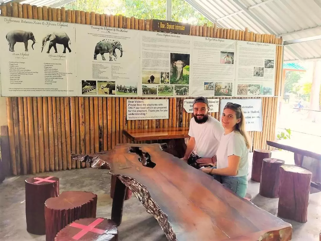 考索大象救援中心（Khao Sok Elephant Rescue Center）一日遊（含漂流 & 烹飪體驗 & 午餐）