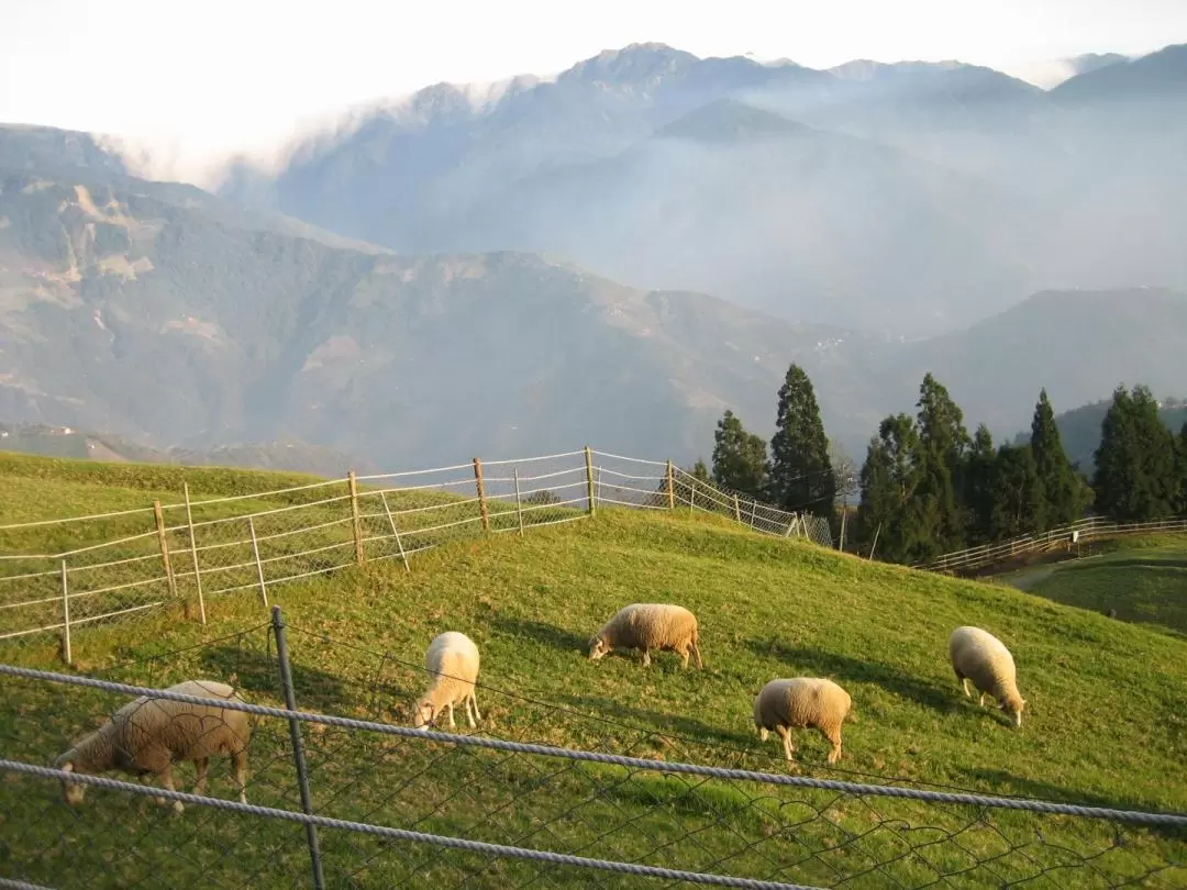 2-Day Qingjing & Hehuan Mountain Tour from Taipei