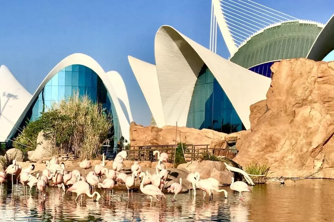 Oceanografic and Science Museum Admission at the City of Arts and Sciences