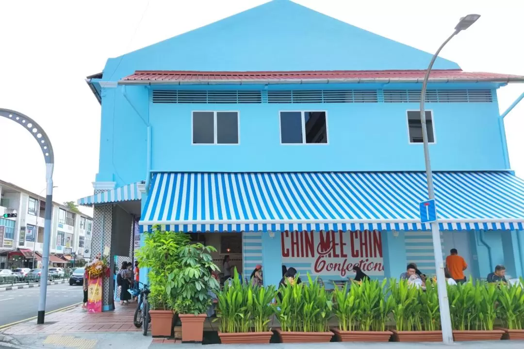 The Matriarch of Rumah Katong Half Day Tour