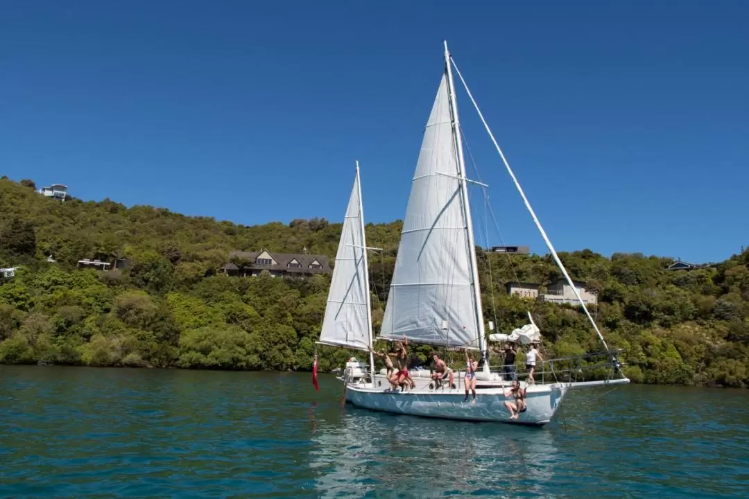 Eco Sailing to the Maori Carvings