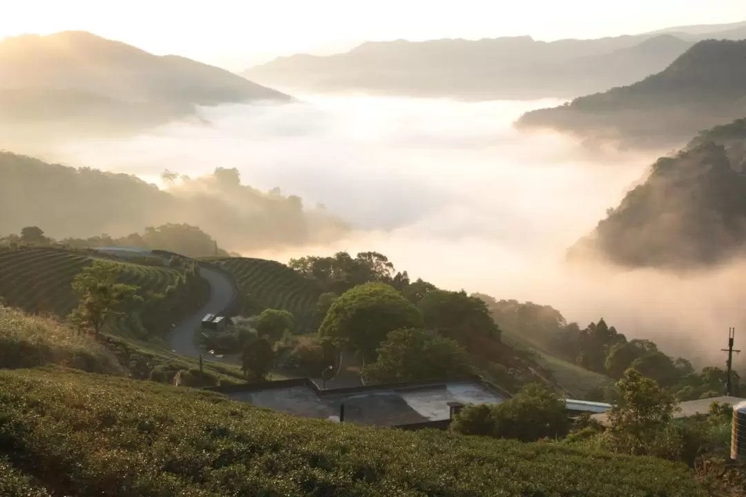 坪林山・象山 日帰りツアー（台北）