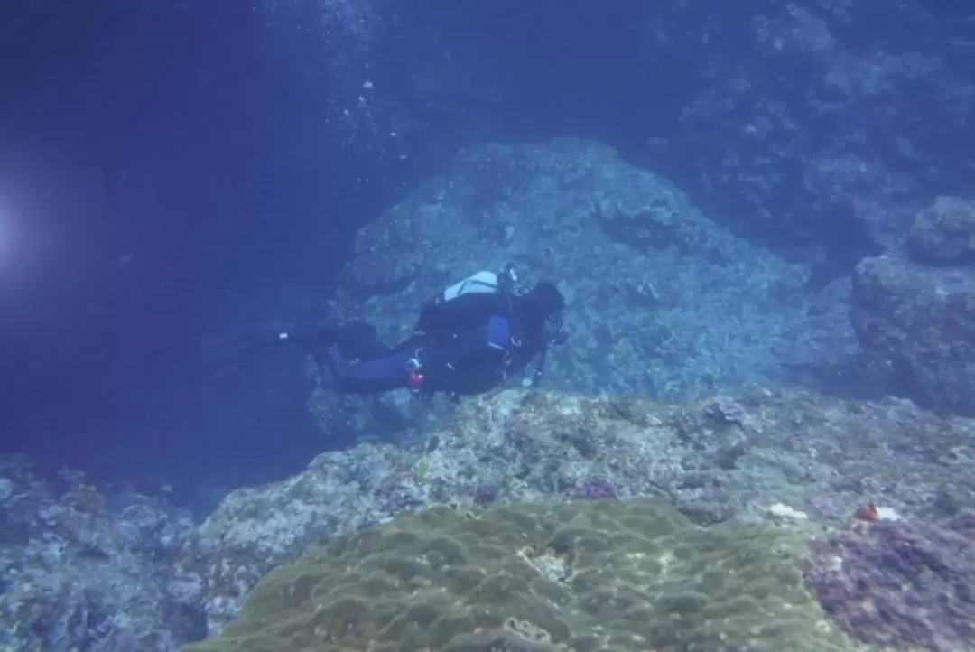 沖繩海多角一日潛水體驗（PADI五星級IDC）