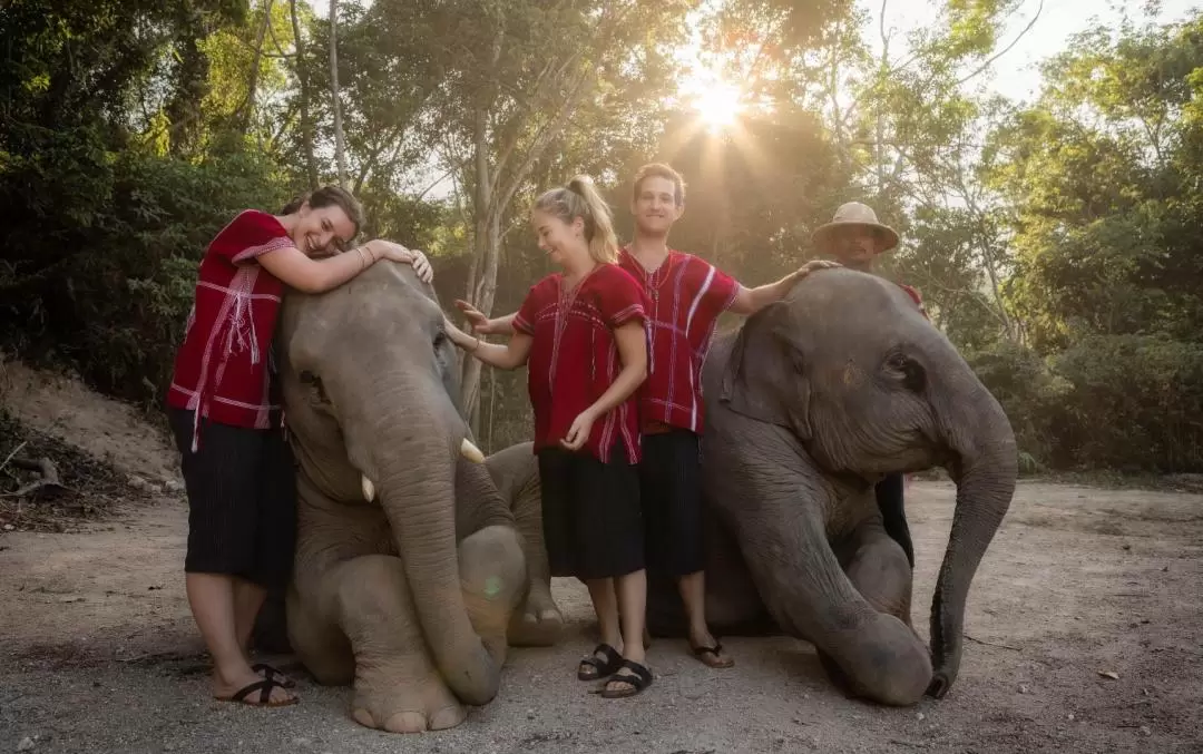 Kerchor Elephant Family Phuket Sanctuary Half Day Visit