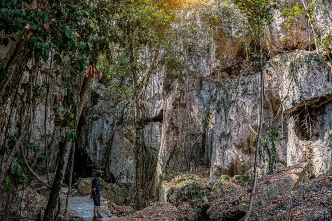 摩羯洞大教堂洞穴（Cathedral Cave）探索之旅