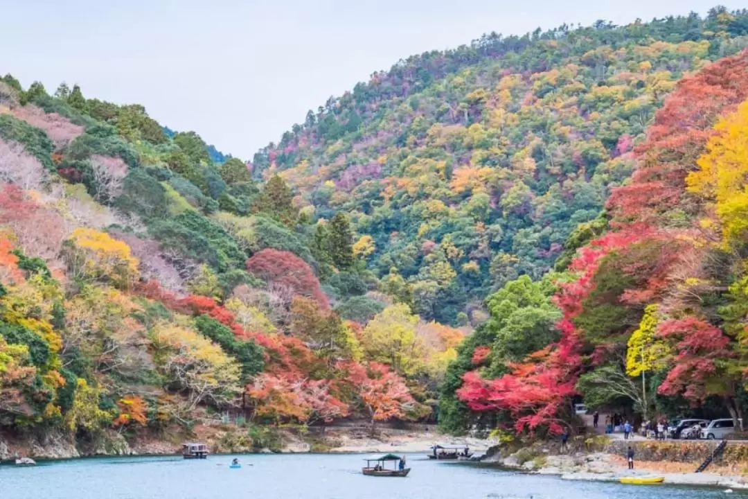 Japan’s Garden of Eden in Arashiyama Private Tour