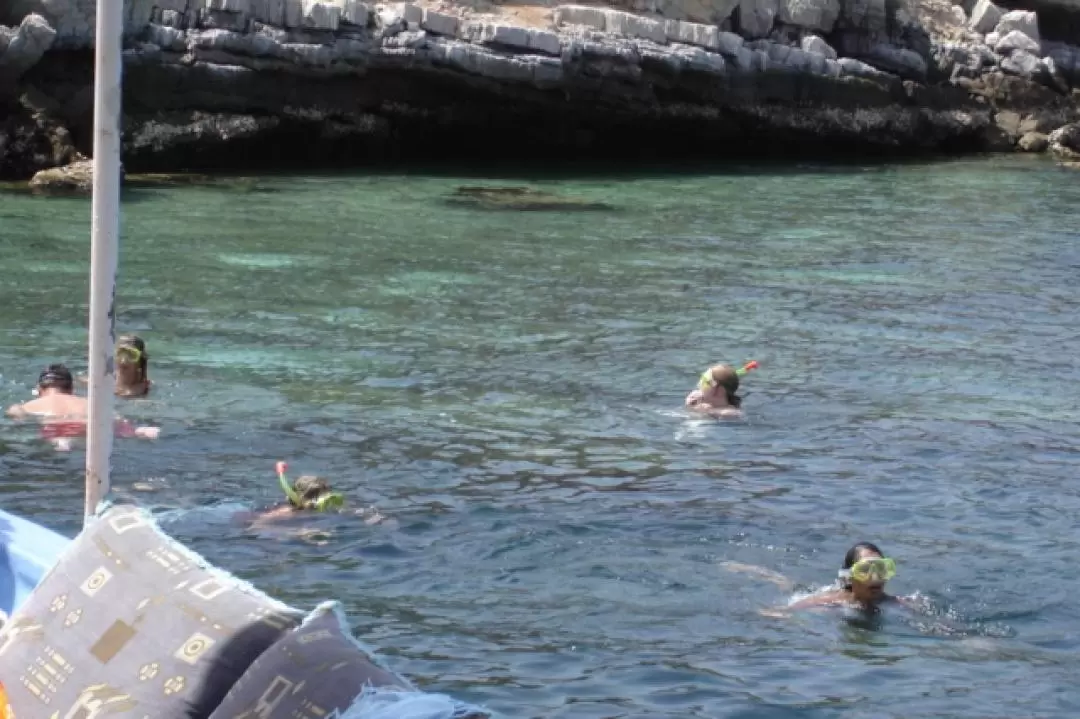 Snorkeling and Dolphin Watching Dhow Cruise in Musandam