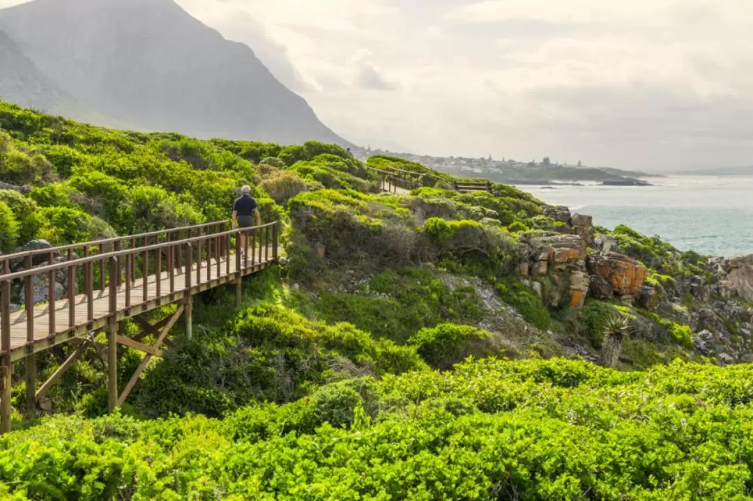 Cape Town Bucket List Combo: Table Mountain, Township & Bo Kaap Day 