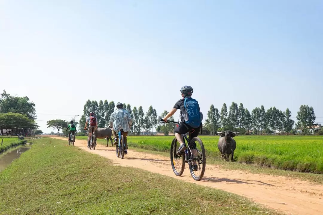 Siem Reap Countryside Half Day Bike Tour