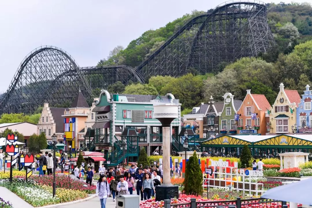 Everland Day Tour with Early/Late Return from Seoul