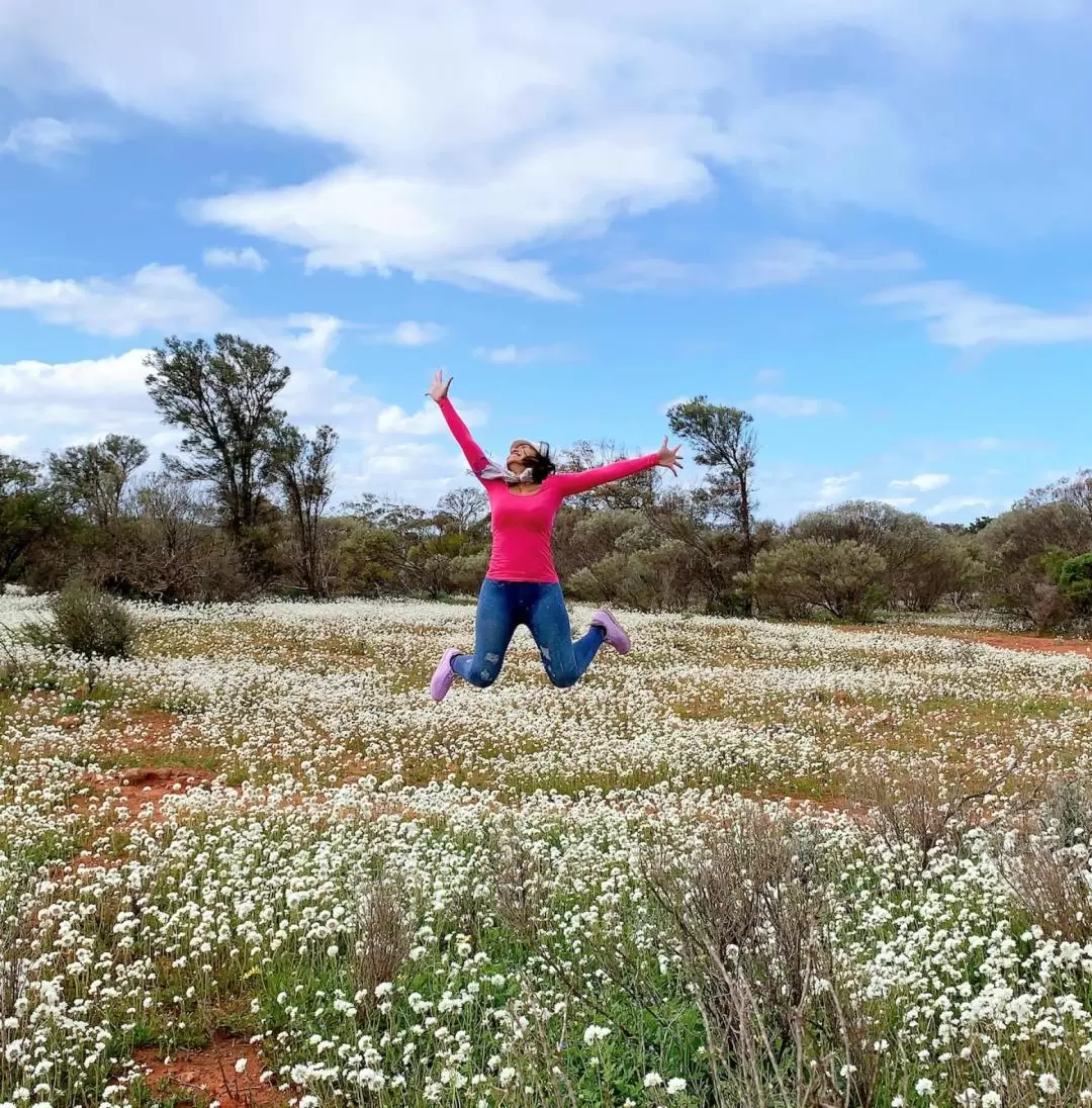 Kalbarri Wildflowers Tour