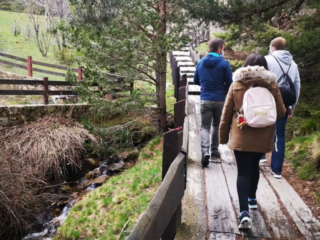 Guadarrama National Park Day Tour in Madrid