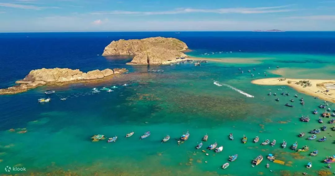 ホンコー島 日帰りシュノーケリングツアー（クイニョン発）