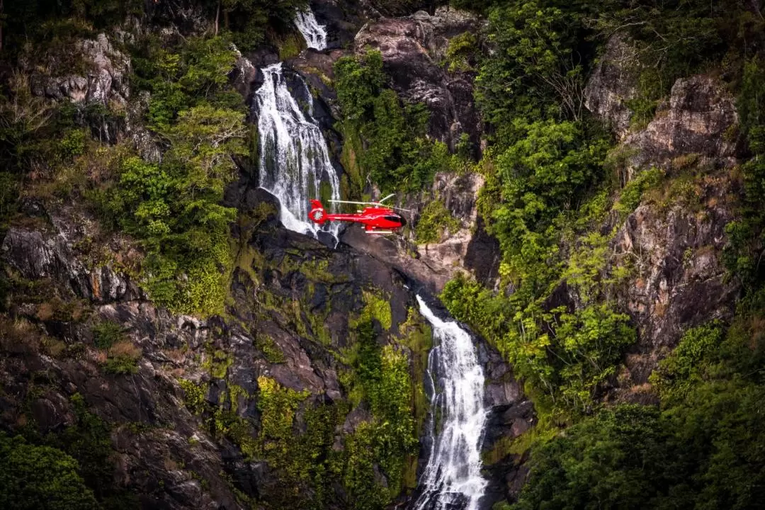 Reef and Rainforest Helicopter Flight from Cairns or Port Douglas