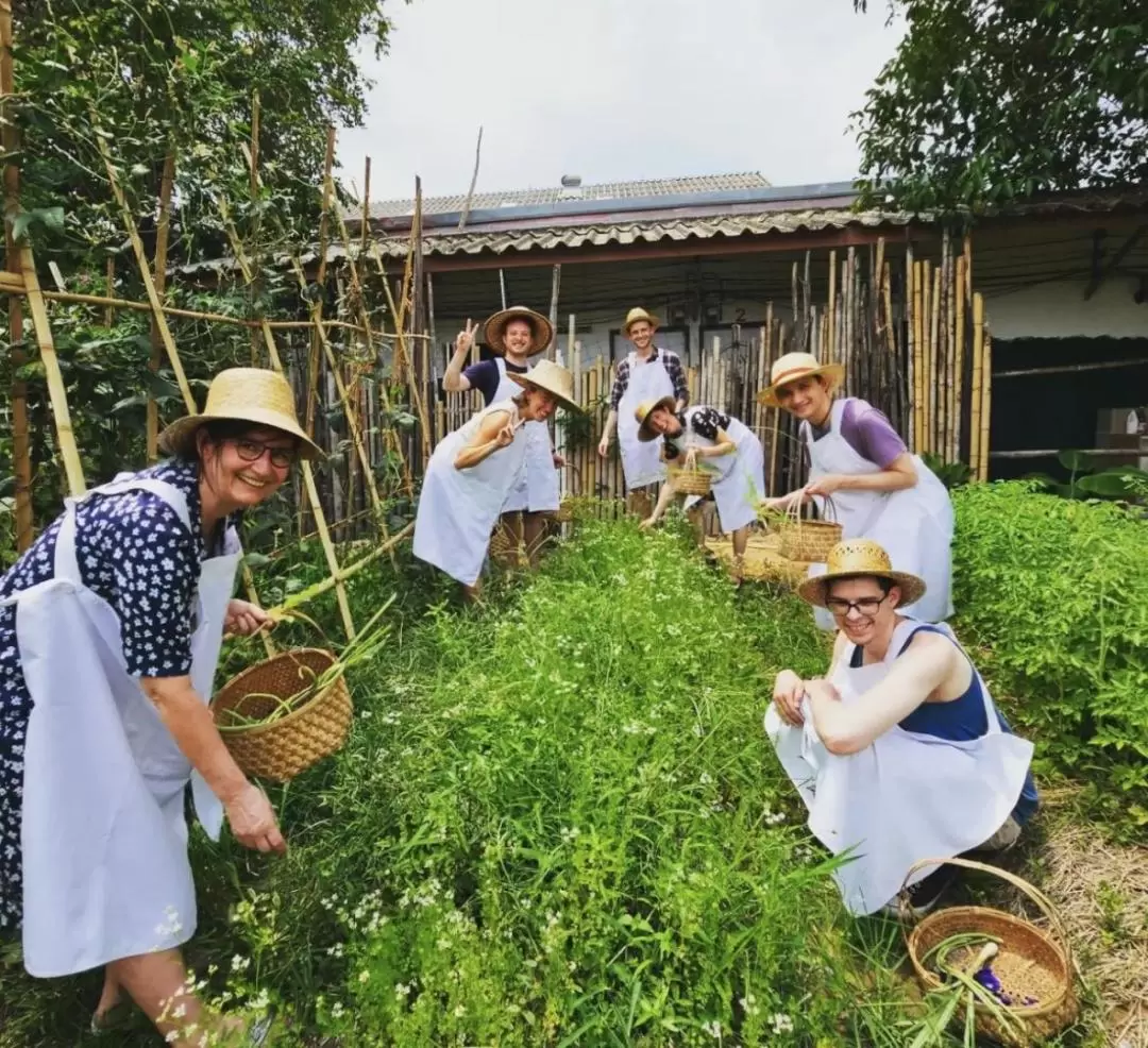 普吉島 Thai Cooking Class with Judy 泰式料理課程