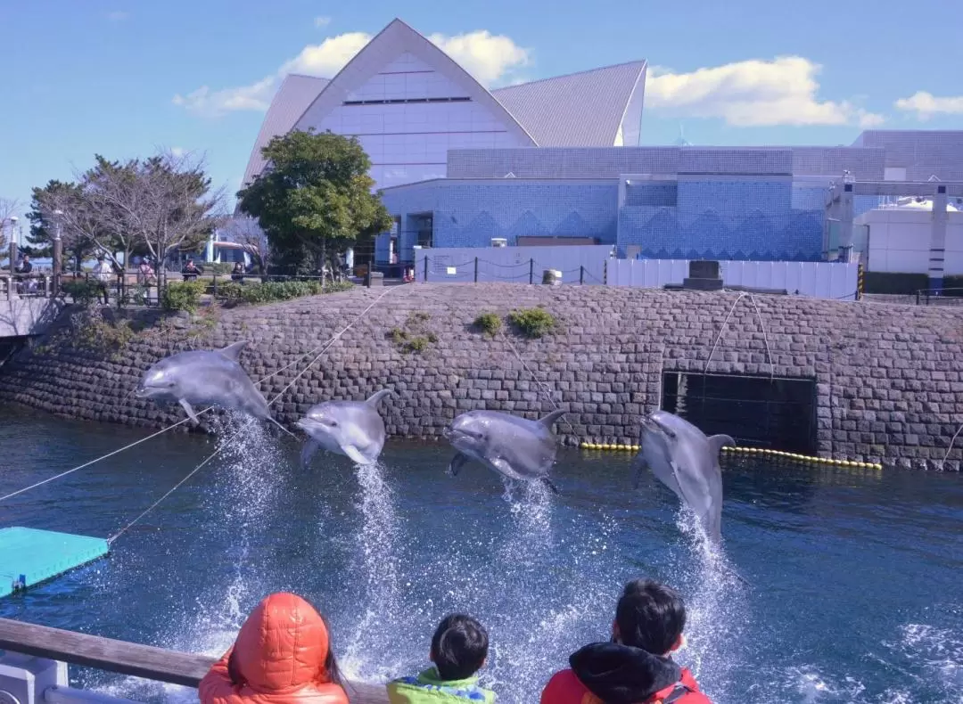 Kagoshima City Aquarium Ticket in Kyushu