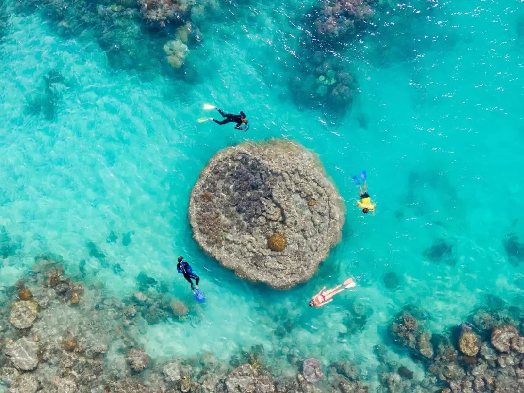 聖靈群島直升機觀光＆快艇之旅