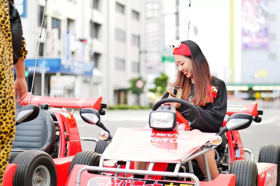 Osaka Go Karting Experience by Akiba Kart