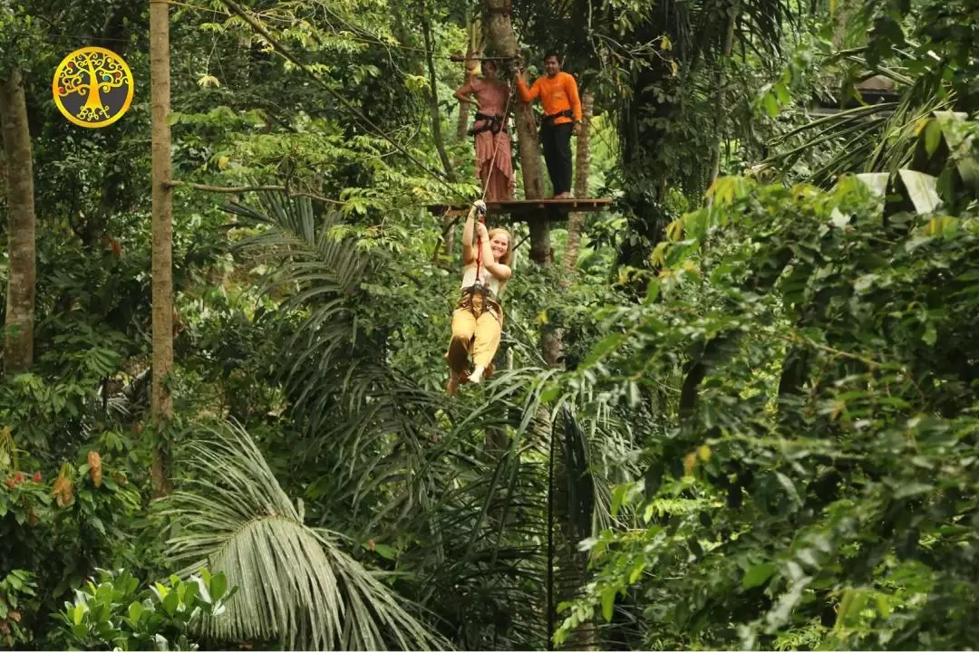 Ubud Nature Trip with Flying Fox, Spa or Jungle Swing Experience