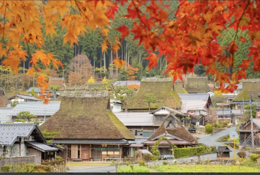 天橋立・伊根の舟屋・美山 かやぶきの里 日帰りセルフガイドツアー（大阪発）