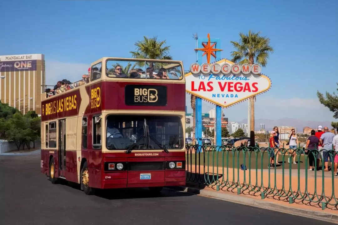 Las Vegas Big Bus Hop-On Hop-Off Tours (Open-Top)