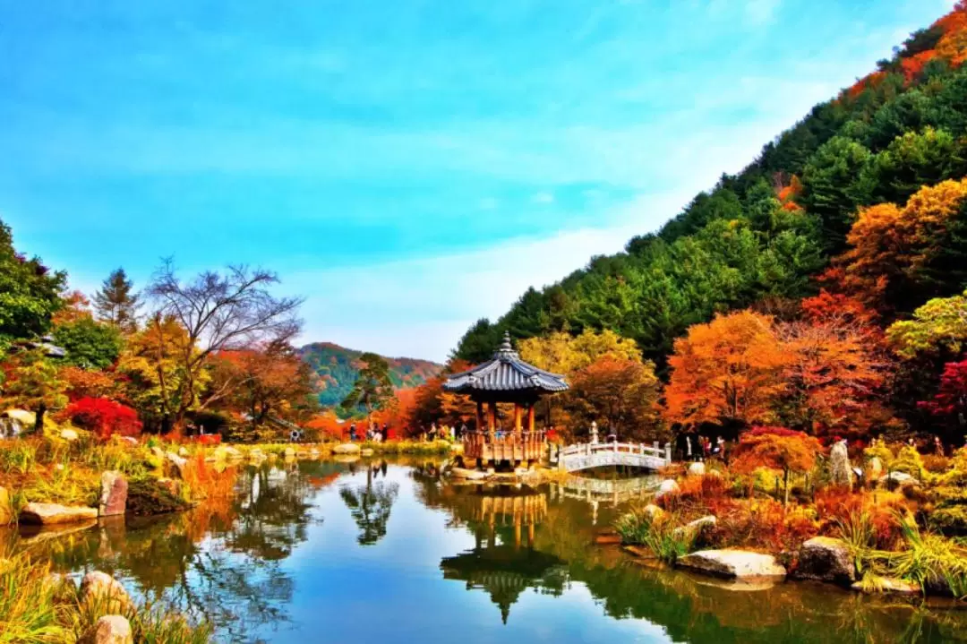 羊駝樂園 & 樂高樂園 & 南怡島 & 鐵路自行車 & 晨靜樹木園一日遊