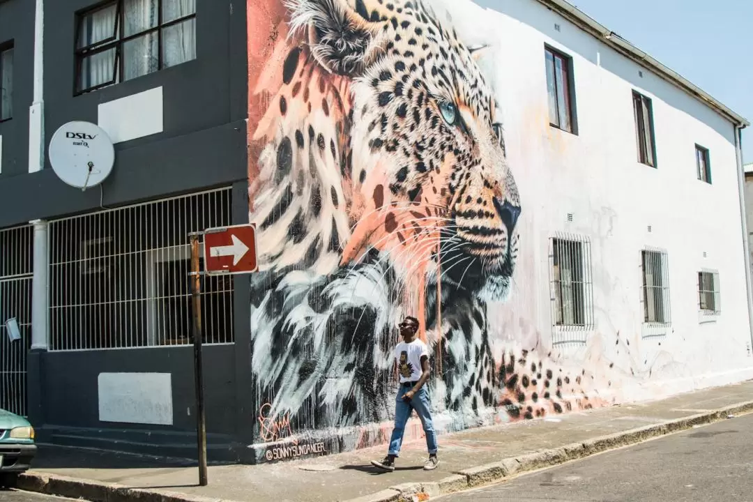 Street Art Walking Tour in Cape Town