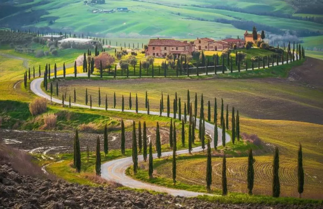 Brunello di Montalcino Small Group Wine Tour from Siena