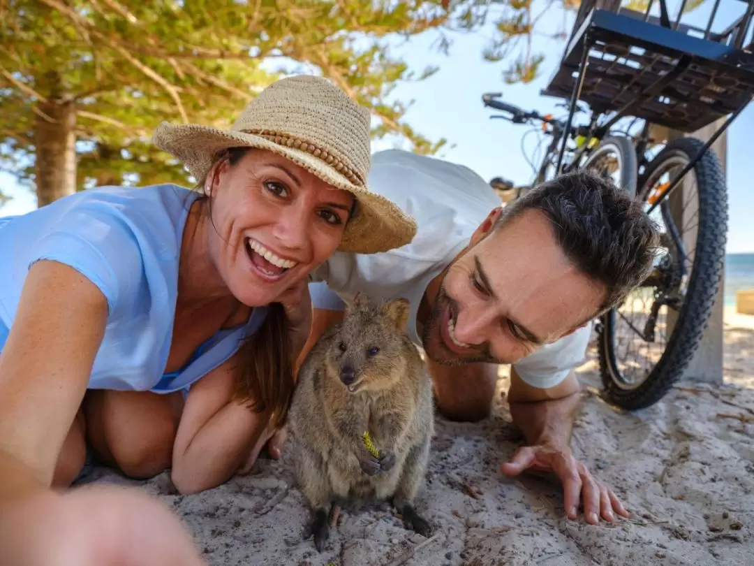 Rottnest Island Ferry and Bike Experience from Fremantle