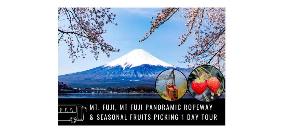 Oishi Park & Mt. Fuji One Day Tour with Fruit Picking from Tokyo